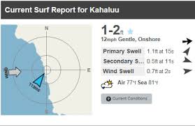 How To Correctly Read A Surf Report