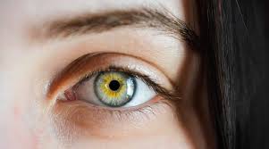 Bay hills eye care takes great pride in providing you and your family the highest quality in comprehensive eye care today. More People Reporting Computer Vision Syndrome Amid Pandemic Assocham Lifestyle News The Indian Express