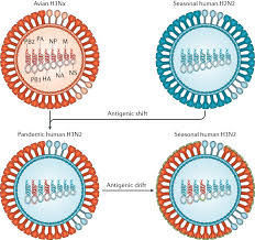 It can easily move from kid to kid as they share things like pencils, toys, computers, remotes, spoons. Influenza Nature Reviews Disease Primers
