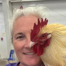 Where to find hatching eggs in SE Oklahoma?