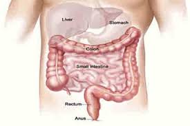 Tambah kritikal bila sembelit dah masuk episod berak berdarah. Penyebab Dan Cara Mengatasi Sembelit Lifestyle Bisnis Com