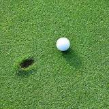 Image result for how to spin a golf ball back on the green