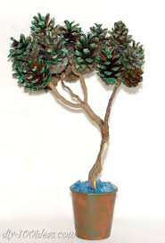 Japanese white pine questions on climate and cultivars: Bonsai Tree With Pine Cones Diy 100 Ideas