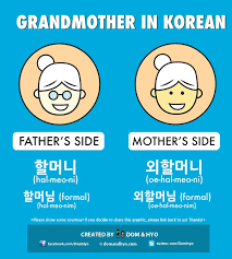Check out bas rutten's liver shot on mma surge: Grandmother In Korean Korean Language Korean Language Learning Korean Words