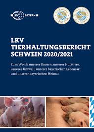 Erster Tierhaltungsbericht Schwein