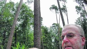 Forstamt Langen setzt rund um Rödermark auf natürliche Verjüngung des  Stadtwaldes