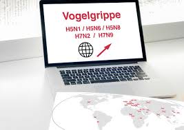 Polen ist der größte geflügelfleischerzeuger in der europäischen gemeinschaft. Vogelgrippe Ein Weltweites Problem Dgs Magazin