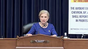 Image result for Dark Blue 1990 US Government