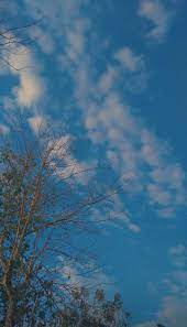  Pin Oleh Valentina Jimenez Di Mix Photo Latar Belakang Pemandangan Fotografi Alam