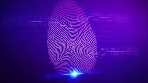 Topics range from hard news coverage to politics, lifestyle, pop culture, business, health, and science. Pin On Chefs