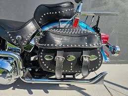 Image result for Aqua Pearl 1994 FLSTF