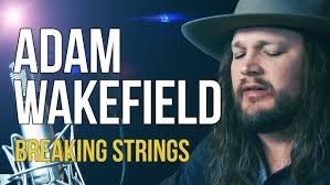 Adam Wakefield "Breaking Strings" (explicit lyrics)