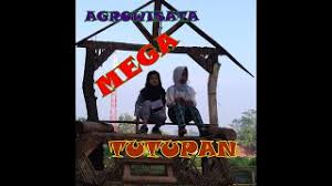 Puncak mega dipenuhi pendaki saat sunrise. Menuju Agrowisata Mega Tutupan Part 1 Youtube