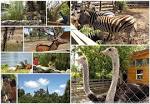 Constana turistic - Microrezervaia de Animale i Voliera de