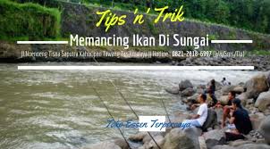 Kali Ini Kami Akan Membahas Tentang Tips Dan Trik Mancing Ikan Di Sungai Bagi Para Pemancing Mania Ten Terbaru Essen Oplosan Terbaik Paling Jitu Ikan