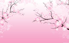 41 Anime Cherry Blossom Wallpaper On Wallpapersafari Wallpapercave is an online community of desktop wallpapers enthusiasts. 41 anime cherry blossom wallpaper on