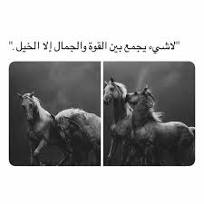 pin by jumana on easy cover photo quotes riding quotes horse riding quotes