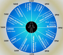 How You Should Plan Your Day According To The Human Body