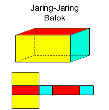  Contoh Jaring Jaring Balok Dan Cara Membuatnya