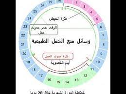 قال رئيس مجلس الشعب السوري، حمودة الصباغ، إن الرئيس السوري بشار الأسد فاز بنسبة 95.1 في المئة من مجموع أصوات الناخبين. Ø£Ø¬Ù†Ø­Ø© Ø¥Ø¹Ø·Ø§Ø¡ ÙŠØ¹ØªØ¨Ø± Ø§ÙŠØ§Ù… Ø§Ù„Ø§Ø¨Ø§Ø¶Ø© Ø¨Ø¹Ø¯ Ø§Ù„Ø¯ÙˆØ±Ø© Cncsteelfabrication Com