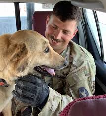 Soldier Reunites with Dog He Met in Iraq, Brings Him Home to U.S.