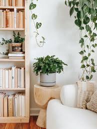 Eirin lisø has previously owned and run an interior design store. 6 Secrets Of Scandinavian Design And How To Use Them Plant Care Tips And More La Residence