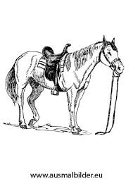 Ausmalbild Altes Pferd Zum Ausdrucken