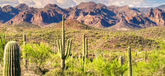 Jest to miejsce romantyczne i idealne na relaks. Arizona Bike Tours Cycling Vacation Arizona