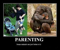 I want to amuse my friends with funny jokes, do u hav any good ones? Funny Bad Parenting Quotes Quotesgram