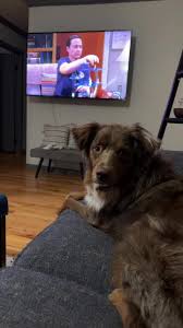 Bildergebnis für Shelly Rusten