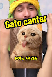 COMO FAZER GATO CANTAR 🎤 #CapCut #gato #cat #dog