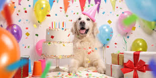 Happy birthday dj happy birthday (instrumental). 35 Witzige Geburtstagsgrusse Fur Whatsapp Desired De