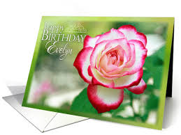 • an epic happy birthday song, for evelyn! Happy Birthday Evelyn Pretty Rose In Garden Card 1066915