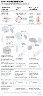 Rapid antigen test positive images. Rapid Coronavirus Tests A Guide For The Perplexed