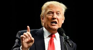 Donald Trump Is a 2-Year-Old. It's Time for the Press to Treat Him Like  One.