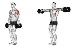 Exercise-2-Standing-Dumbbell-Lateral-Raises – Fitness Workouts & Exercises