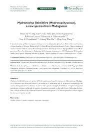 Image result for Hydrostachys insignis