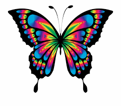 Download Svg Royalty Free Stock Ugly Clipart Butterfly Colorful Butterfly Transparent Png Download 232325 Vippng