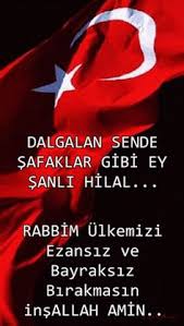 Sungurlar Ile Ilgili Gorsel Sonucu Sungurlar Pinterest Searching