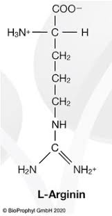 L Arginin Base Aus Fermentativer Herstellung Von Bioprophyl