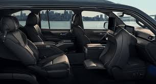 Image result for Manganese Luster 2025 LZ