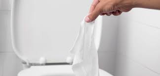 Are flushable wipes really flushable? Are Flushable Wipes Really Flushable G P Root Raiders Plumbing