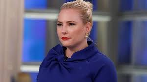 She has risen to the heights of fame owing to her political. Meghan Mccain Tears Up Media For Giving Very Little Attention To Middle East Peace Deal Trump Deserves Credit Fr24 News English