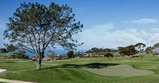 When you attend the us open, you can see amateur golfers who have played well enough in one of more than 100 local tournaments and sectional. 2021 U S Open Torrey Pines Golf