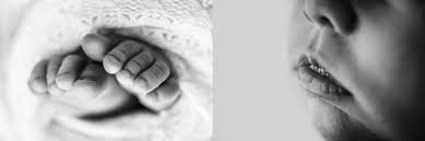 Image result for tbn:2Z_7CQk_kzy5lM::www.phroon.com/studio/pic/baby004.jpg