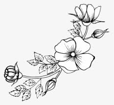 Hand drawn flowers black and white. Drawn Flowers Png Images Transparent Drawn Flowers Image Download Pngitem