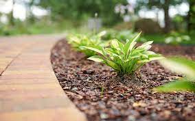 Many people would like to use wood chips in the vegetable garden. A Quick Guide To Bark And Wood Chippings David Domoney