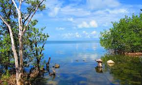 Un dimanche à la campagne. Tavernier 2021 Best Of Tavernier Fl Tourism Tripadvisor