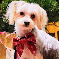 Heidi P. (@heidipdot) • Instagram photos and videos