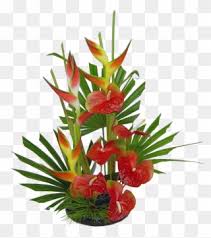 Maybe you would like to learn more about one of these? Waipio Tropical Hawaii Flowers Bouquet Hawaiian Flowers Tropical Flower Arrangement Clipart 403556 Pinclipart